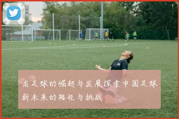 龙足球的崛起与发展探索中国足球新未来的路径与挑战