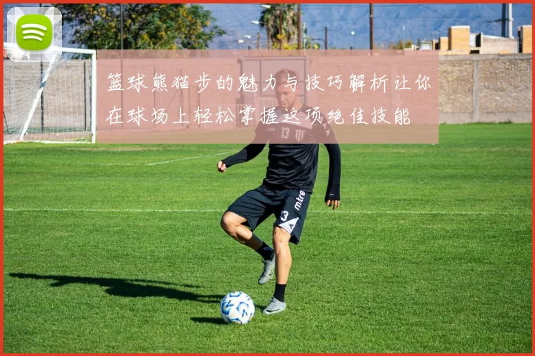 篮球熊猫步的魅力与技巧解析让你在球场上轻松掌握这项绝佳技能