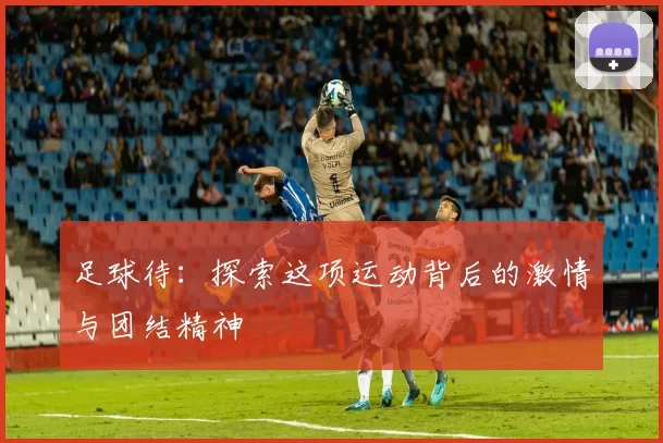 足球待：探索这项运动背后的激情与团结精神