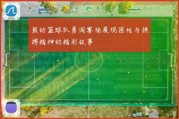 熊的篮球队勇闯赛场展现团结与拼搏精神的精彩故事