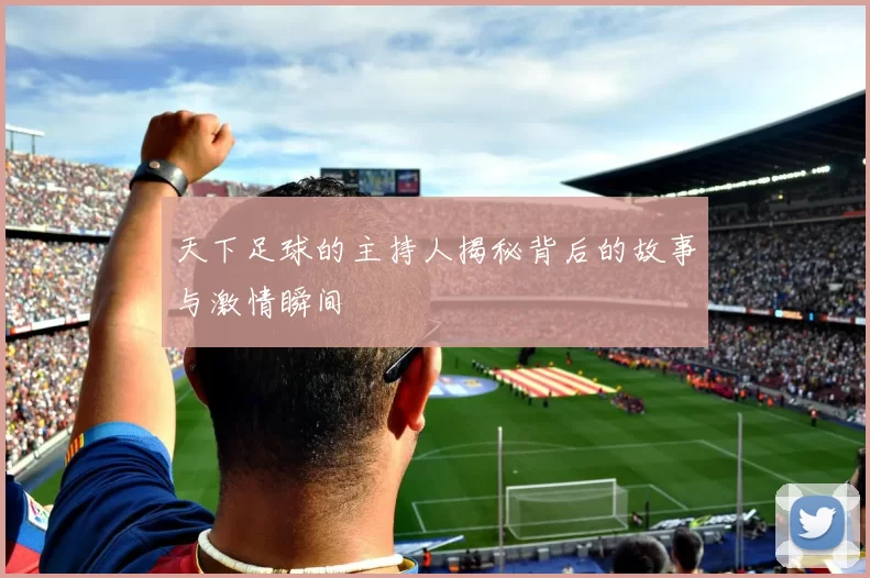 天下足球的主持人揭秘背后的故事与激情瞬间